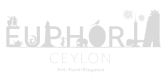 euphoria logo